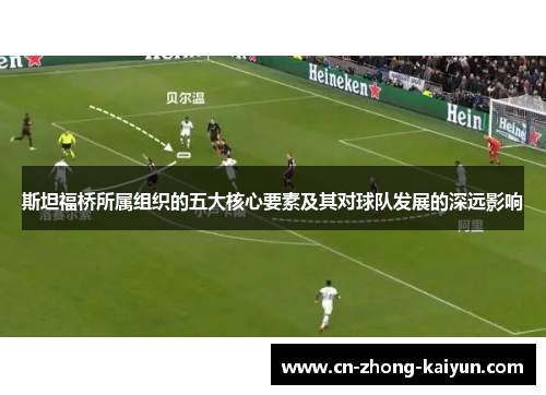 斯坦福桥所属组织的五大核心要素及其对球队发展的深远影响
