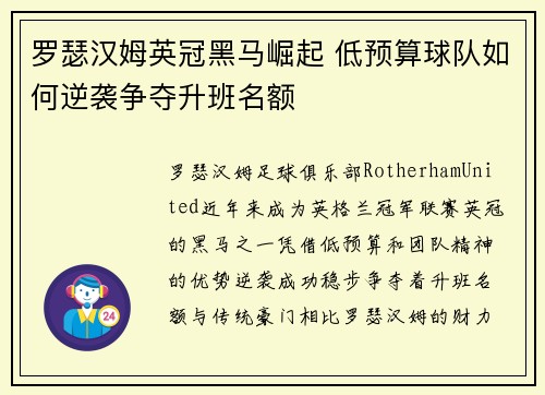 罗瑟汉姆英冠黑马崛起 低预算球队如何逆袭争夺升班名额